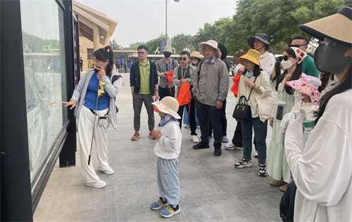 1716802894974.jpg 9.webp.jpg